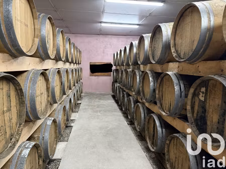 vente château 10 pièces