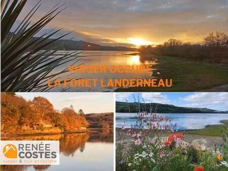 viager occupé - h75 ans - brest (29200)