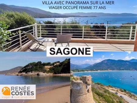 viager occupé - f78 ans - sagone (20118)