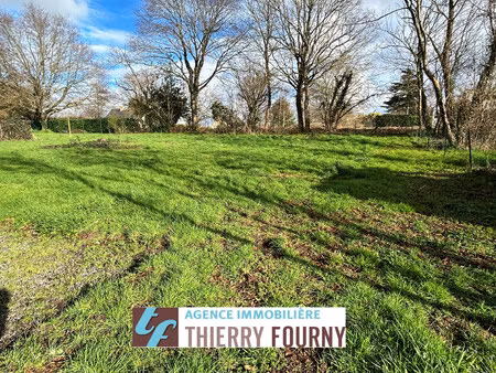 achat terrain treillieres 44119