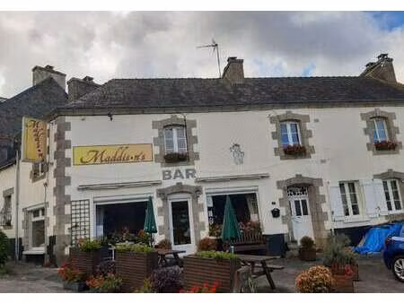 vente bureaux et commerces à sainte-brigitte (56480) : à vendre / 209m² sainte-brigitte