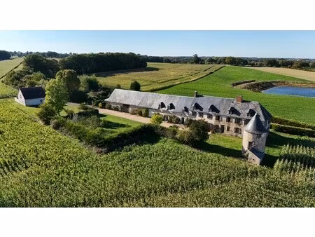château à vendre à la la celle-dunoise