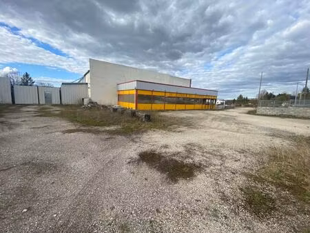 vente local industriel neufchâteau (88300)