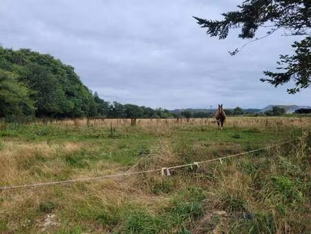 vente terrain à roudouallec (56110) : à vendre / 1755m² roudouallec