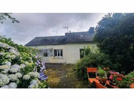 vente maison au saint (56110) : à vendre / 46m² le saint