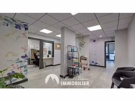 mont blanc immobilier