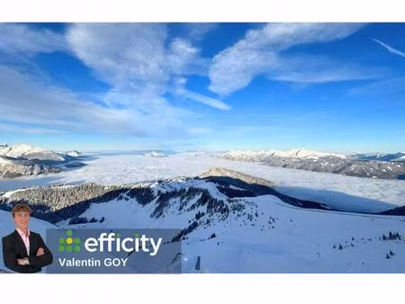efficity valentin goy