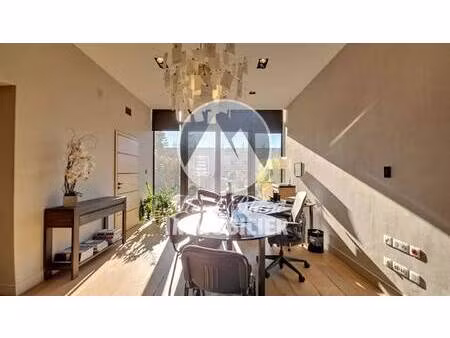 mont blanc immobilier