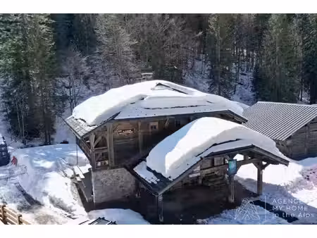 my home in the alp