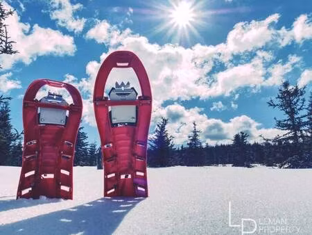 local commercial à vendre