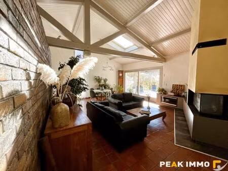 peak immo sallanches