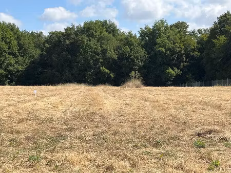 vente terrain 360 m² à saint-césaire (17770)  28 800 €