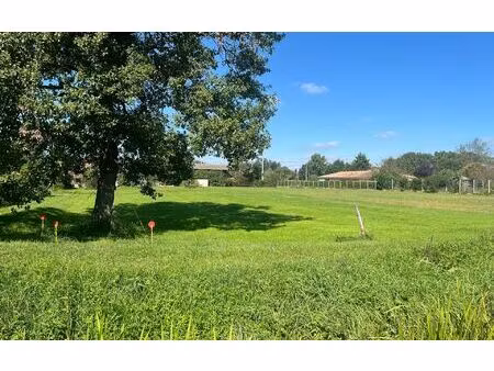 terrain lavelanet-de-comminges m² t- à vendre  48 000 €