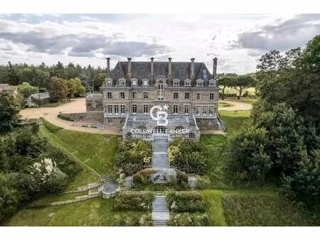 vente château 20 pièces