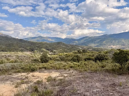 exclusivité - vente terrain à bâtir à tiuccia