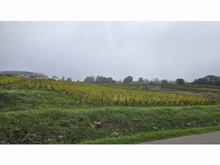 terrain viabilisé côte chalonnaise