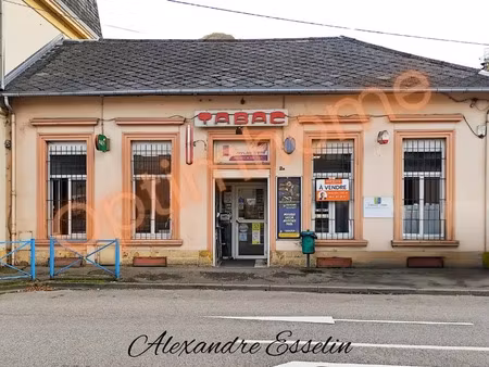 murs commerciaux à vendre hayange (57) rentabilite 10% brute