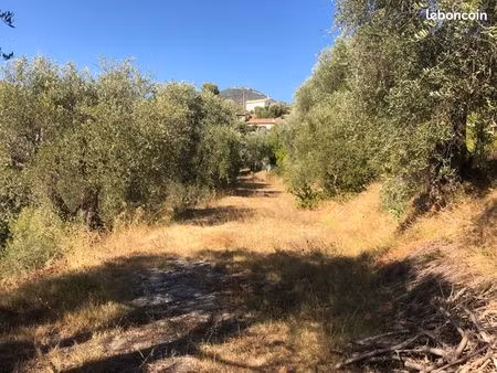 terrain 1 585 m² colomars