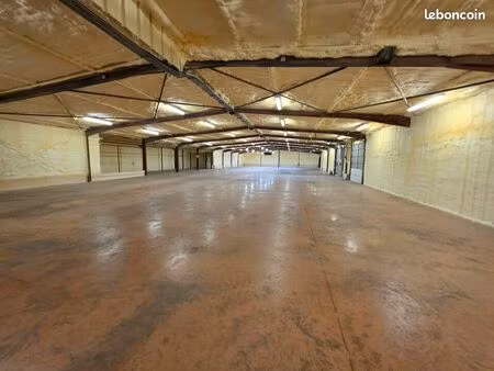 depot - entrepot 1592 m² carros