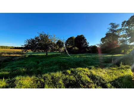 vente terrain  3140.00m²  écoyeux