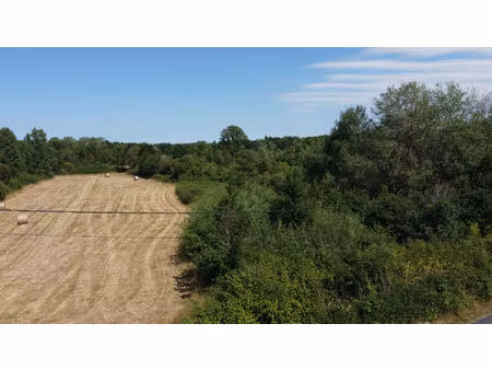 terrain a batir à pruniers en sologne