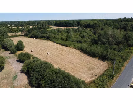 terrain à bâtir à pruniers en sologne