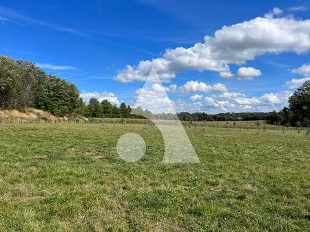 terrain de loisirs suarce 17741 m2