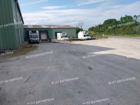 à vendre - locaux d'activités - 3 783 m² - les sorinieres