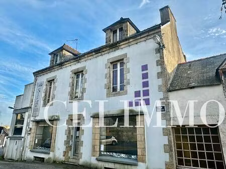 vente maison à elliant (29370) : à vendre / 160m² elliant