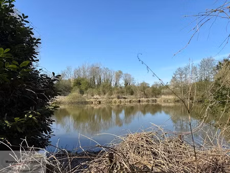 vente terrain 12000 m² à valenciennes (59300)  368 000 €