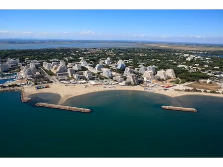 vente locaux professionnels 1 pièce 160 m² à la grande-motte (34280)  539 000 €