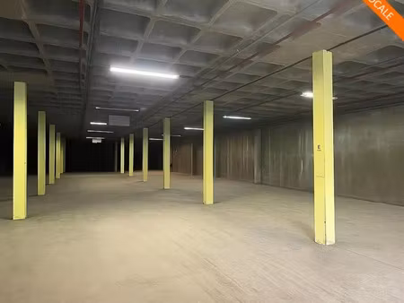 activite - entrepots a louer