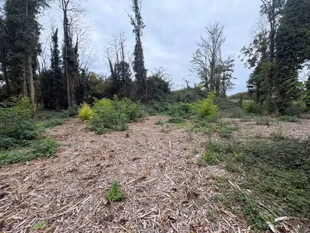 vente terrain à batir 3965 m² à beaugency (45190)  74 000 €