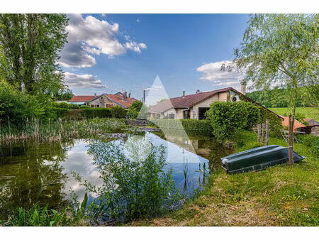 bien d'exception - ancien moulin de 1792 - dolaincourt