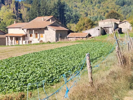 maison à vendre saint martin de valamas 9 pièce(s) 176m2 184 450€