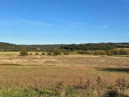 achat maison 7 pièces 220m² coulaures 24420