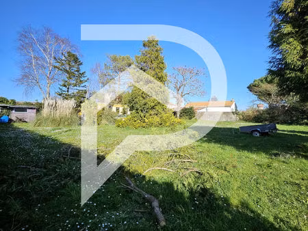 terrain constructible