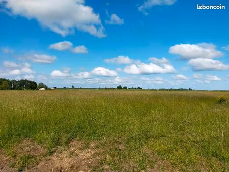 terrain 1 000 m² jarnac champagne