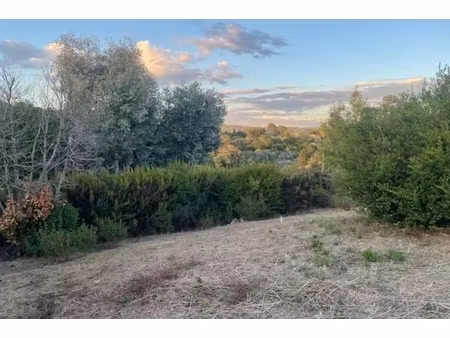 annonce terrain à vendre