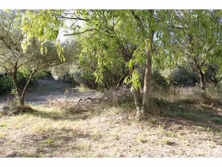 vente terrain 5266 m² uchaud (30620)