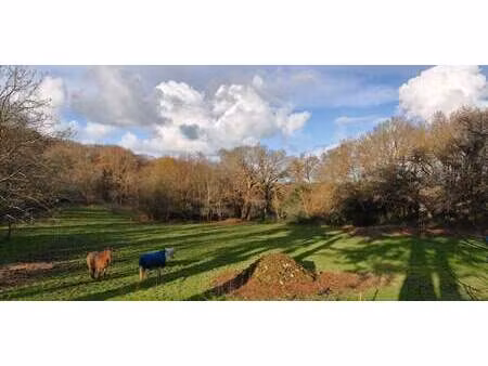 maison avec terrasse pouldergat (29)