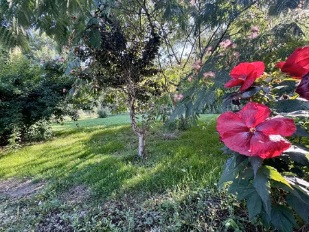 achat maison 6 pièces 125m² coudroy 45260