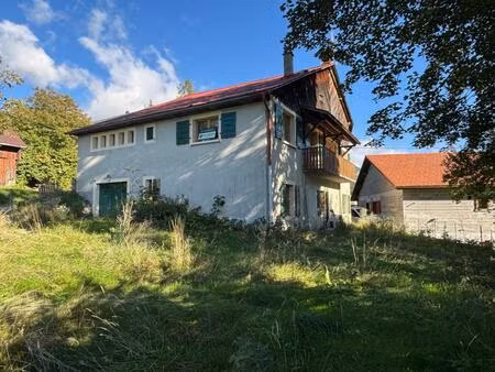 maison en pierre 11 pièces