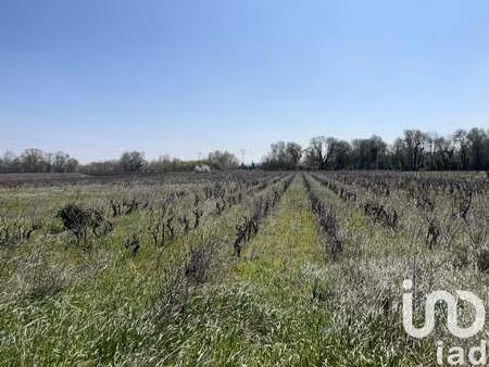 vente terrain à codolet (30200) : à vendre / 5975m² codolet