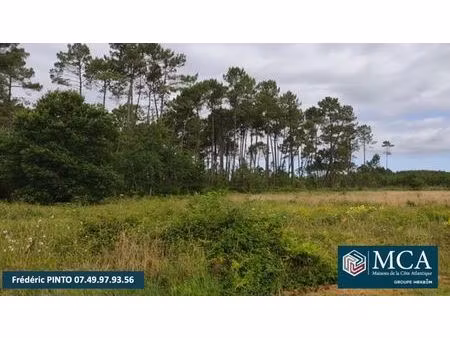 vente terrain 675 m² saint-yaguen (40400)