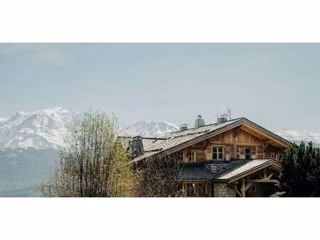 chalet avec terrasse cordon (74)