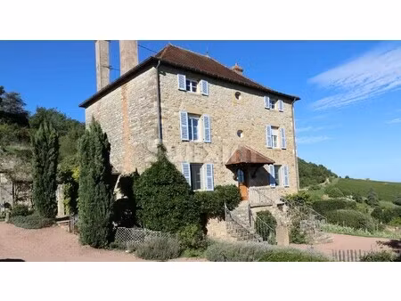 vente propriété 10 pièces