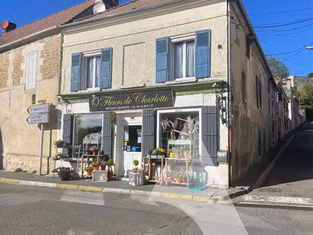 a vendre murs professionnels loues