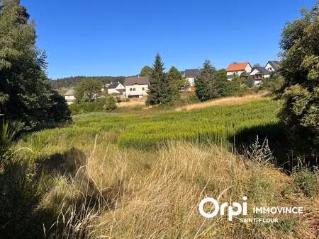 vente terrain 9525 m² saint-chély-d’apcher (48200)