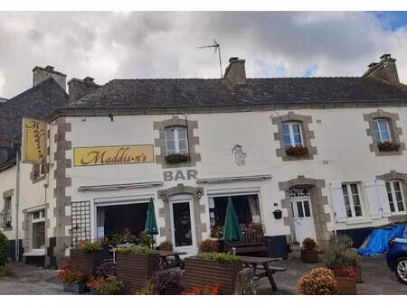 vente commerce 5 pièces 209 m² sainte-brigitte (56480)